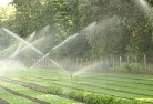 Blufflandscaping-water-management-and-drainage-17.jpg; ?>